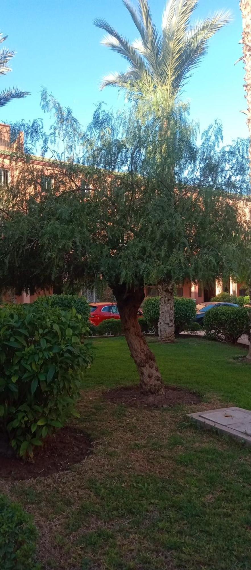 Riad Al-Bushra Marrakesh Buitenkant foto