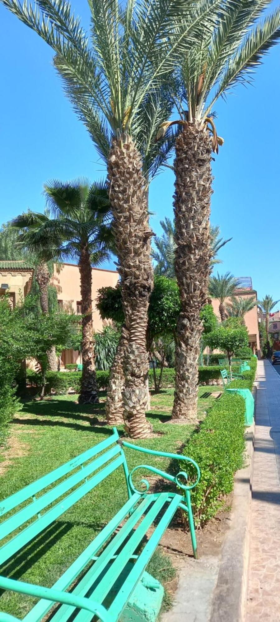 Riad Al-Bushra Marrakesh Buitenkant foto